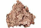 Natural, Native Copper Formation - Michigan #204854-1